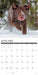 Labs 2026 12" x 12" Wall Calendar