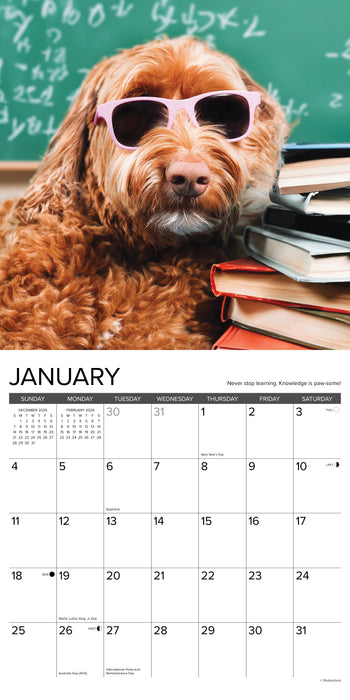 What Dogs Teach Us 12" x 12" 2026 Wall Calendar