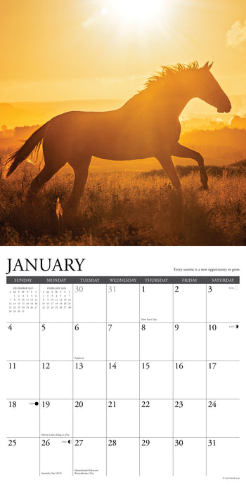 What Horses Teach Us 12" x 12" 2026 Wall Calendar