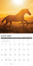 What Horses Teach Us 12" x 12" 2026 Wall Calendar