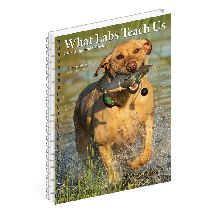 What Labs Teach Us 2026 6.5" x 8.5" Engagement Calendar