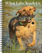 What Labs Teach Us 2026 6.5" x 8.5" Engagement Calendar