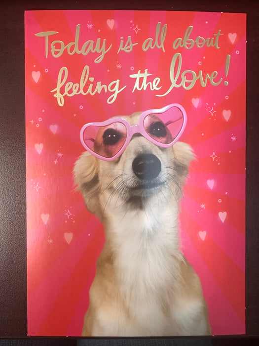 Feeling the Love Valentine's Day Greeting Card [VVT3211]