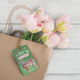 Go Wild Animals Encouragement Cards