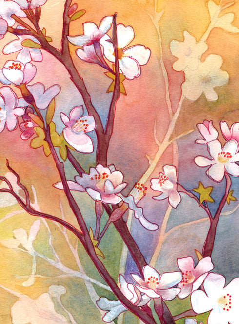 Cherry Blossoms Sunrise Card [3113]