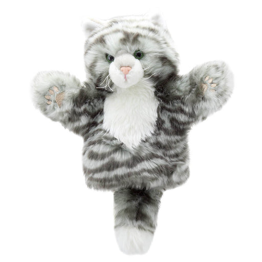 Cat – Tabby – CarPets