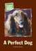 A Perfect Dog