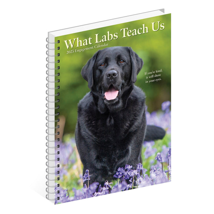 2025 What Labs Teach Us Engagement Calander [46210]