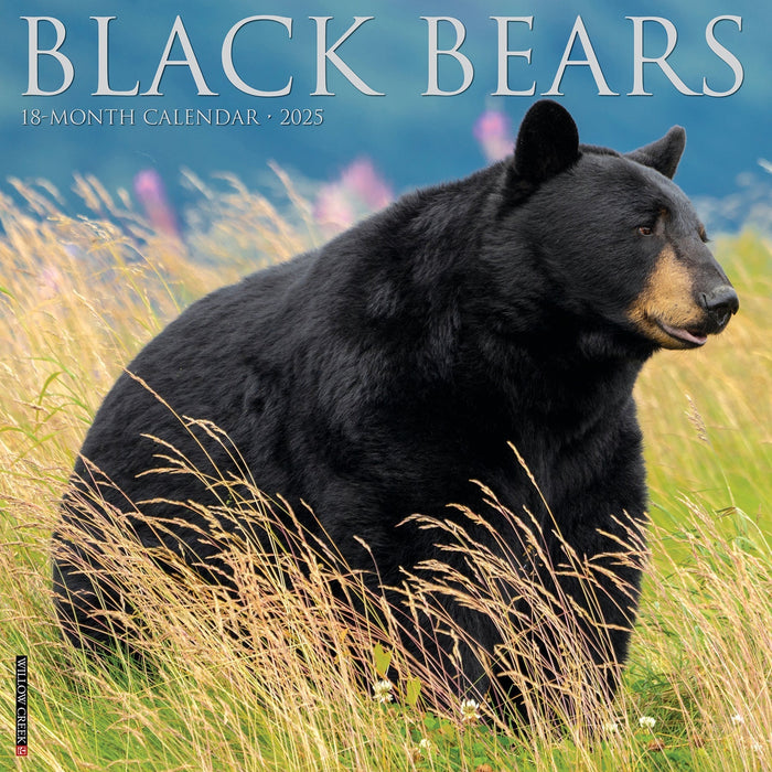 2025 Black Bears Wall Calendar [41826]