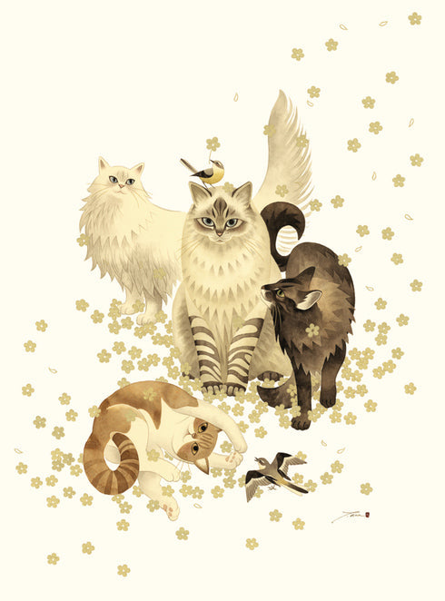 Superiority Cats Birthday Greeting Card [2789BD]