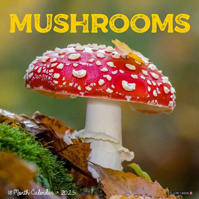2025 Wild Mushrooms Wall Calendar [46517]