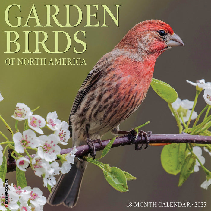 2025 Garden Birds of North America Wall Calendar [42984]