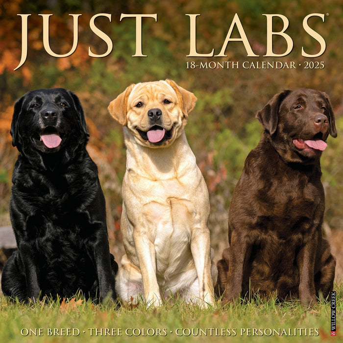 2025 Labs Wall Calendar [43677]