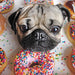 Doug the Pug 1000 Piece Jigsaw Puzzle [39811]