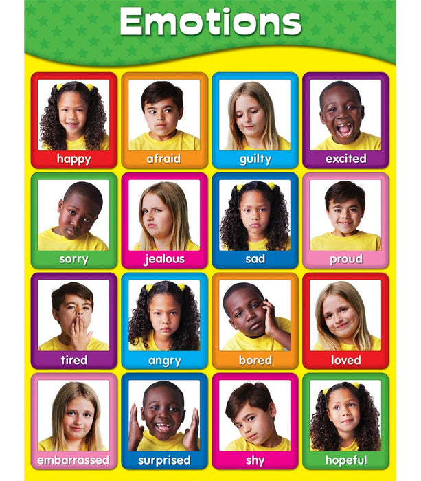 Emotions Chart 17x22 [CD114055]