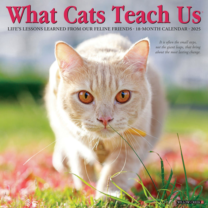 2025 What Cats Teach Us Wall Calendar [45343]
