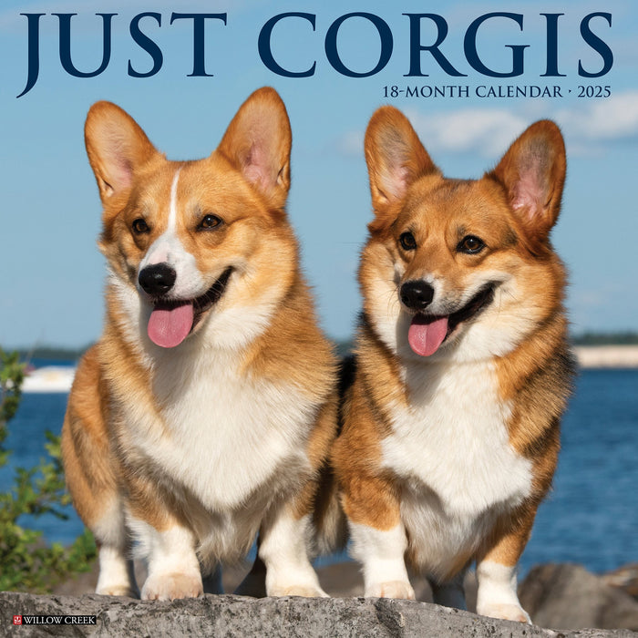 2025 Corgis Wall Calendar [42564]