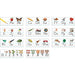 Traditional Manuscript Alphabet with Photographs Bulletin Board Set