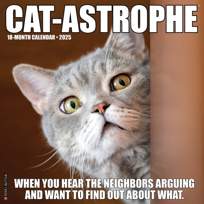 2025 Cat-astrophe Wall Calendar [42212]