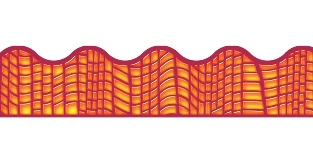 Reptile Orange Border [T92816]